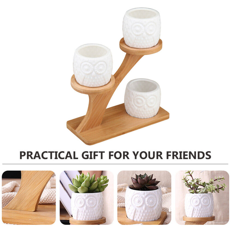 OWL POTS WITH BAMBOO STAND