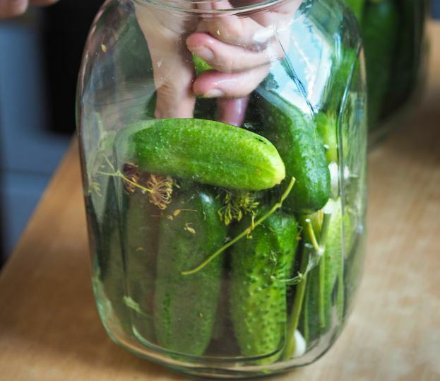 Gherkin Cucumber 20 Seeds