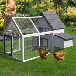 Poultry Hen House